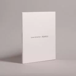 Marston Book Services Ltd Precarious - Carolee Schneemann