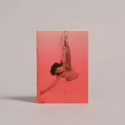 Cornflower Limited Carolee Schneemann Up To And Including Her Limits Notebook