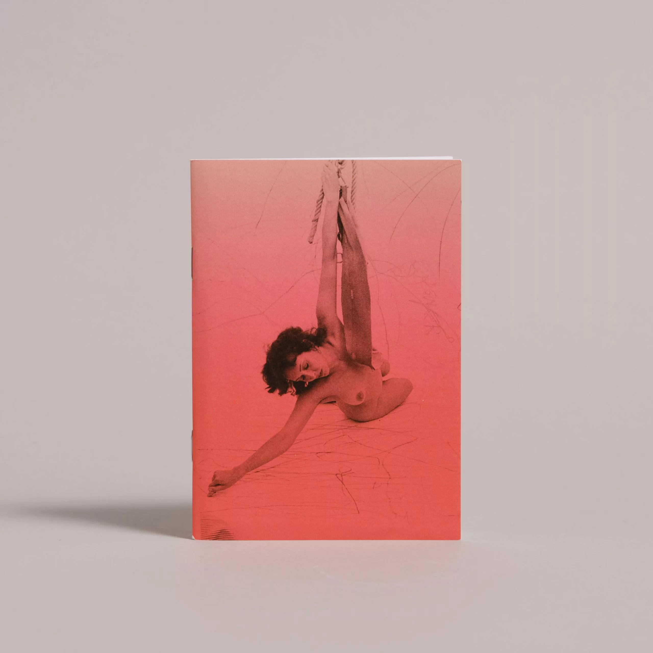 Cornflower Limited Carolee Schneemann Up To And Including Her Limits Notebook 3 Cornflower Limited Carolee Schneemann Up To And Including Her Limits Notebook