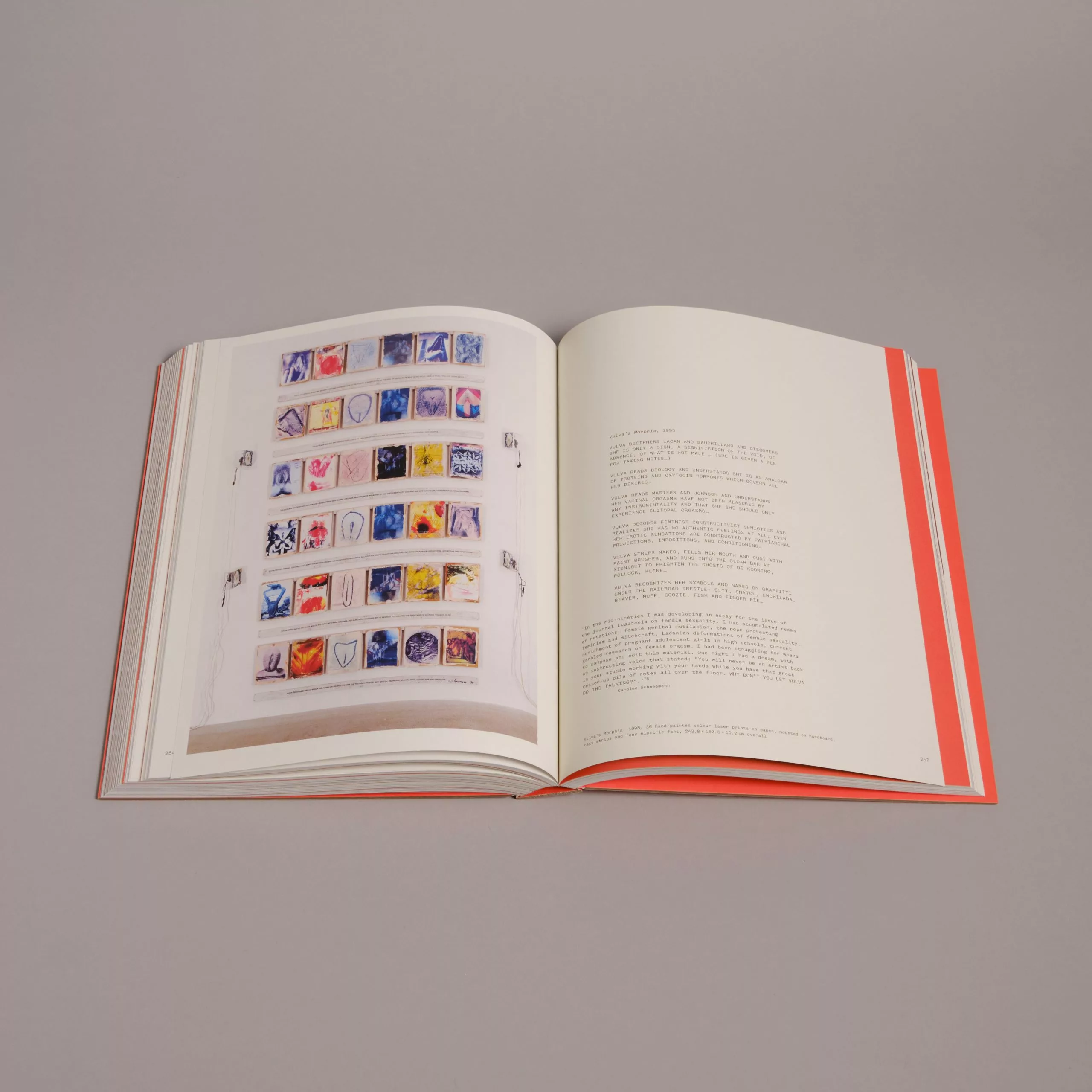 Barbican Art Gallery Carolee Schneemann - Body Politics Exhibition Catalogue 7 Barbican Art Gallery Carolee Schneemann - Body Politics Exhibition Catalogue - Image 5