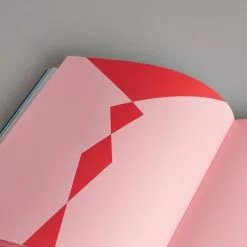 BIE Publishing AI: More Than Human Exhibition Catalogue -Prints shop AI Book 0074