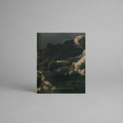 Macmillan Distribution Ltd Anxiety: Meditations On The Anxious Mind