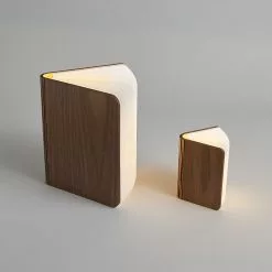 Gingko Electronics Ltd LED Book Light By Gingko 8 Gingko Electronics Ltd LED Book Light By Gingko -Prints shop BookLight 0431