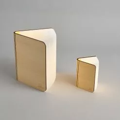 Gingko Electronics Ltd LED Book Light By Gingko 9 Gingko Electronics Ltd LED Book Light By Gingko -Prints shop BookLight 0432
