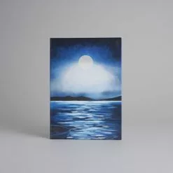 Barbican Art Gallery Bedwyr Williams: The Gulch