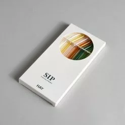 Hay A/S Sip Glass Straw Set -Prints shop Hay Strawers 0132