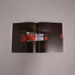 Marston Book Services Ltd Precarious - Carolee Schneemann -Prints shop Precarious2