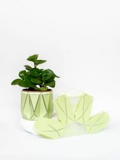 POTR Pots Ltd Small POTR Pot -Prints shop Testimage10 158