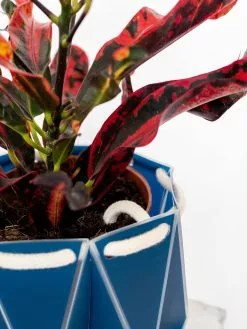 POTR Pots Ltd Large POTR Pot -Prints shop Testimage10 271