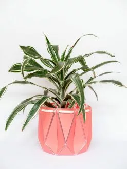 POTR Pots Ltd Large POTR Pot -Prints shop Testimage10 57