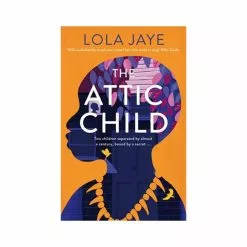 Macmillan Distribution Ltd The Attic Child