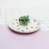 5025 Lifestyle T/a House Of Disaster Urban Succulent Jewellery Dish