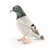 KEYCRAFT Living Nature Pigeon Soft Toy 1 KEYCRAFT Living Nature Pigeon Soft Toy -Prints shop product mainAN664